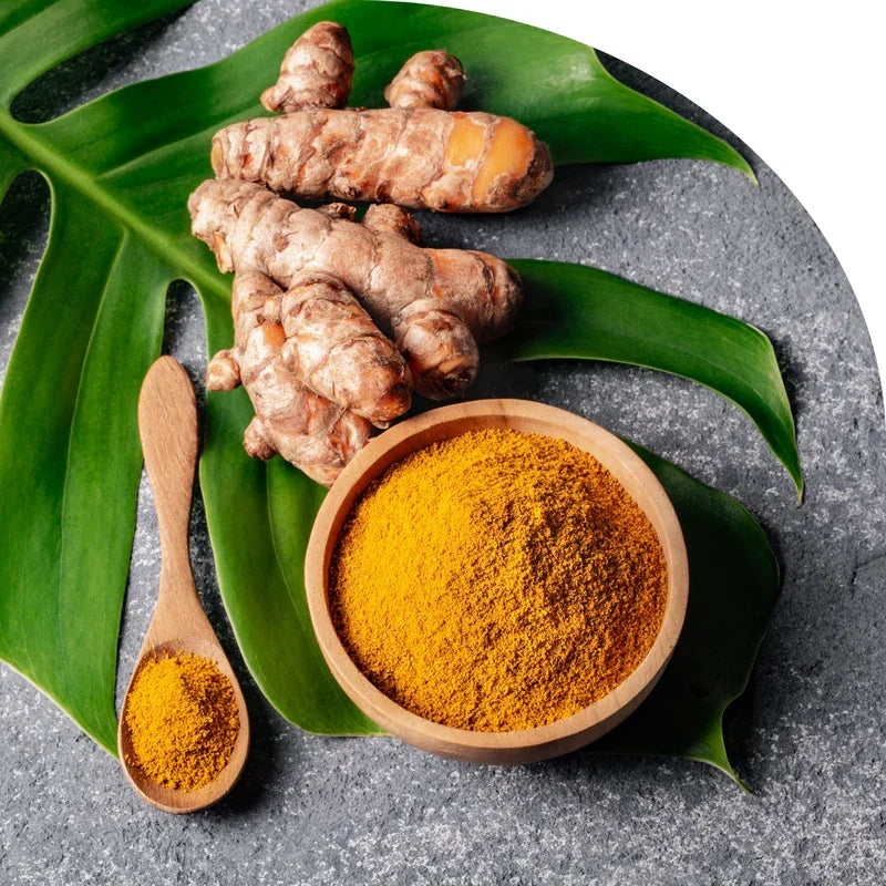 Fresh turmeric roots and turmeric powder in wooden bowl and spoon on green leaves